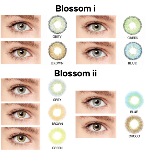 Blincon Blossom Series