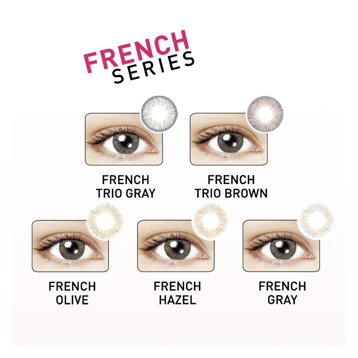 Maxim French Series 1-Month